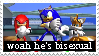 sonic meme 'woah he's bisexual' stamp