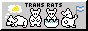 trans rats button